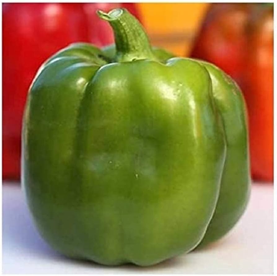 25 EMERALD GIANT SWEET BELL PEPPER SEEDS ~ heirloomseedguy ~ 2026 ~ NON-GMO