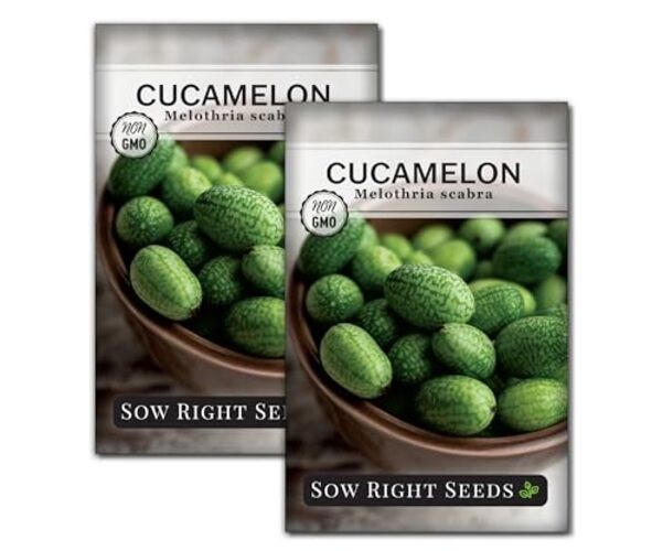 – Cucamelon Seeds for Planting – Non-GMO Heirloom Packet with Instructions 2