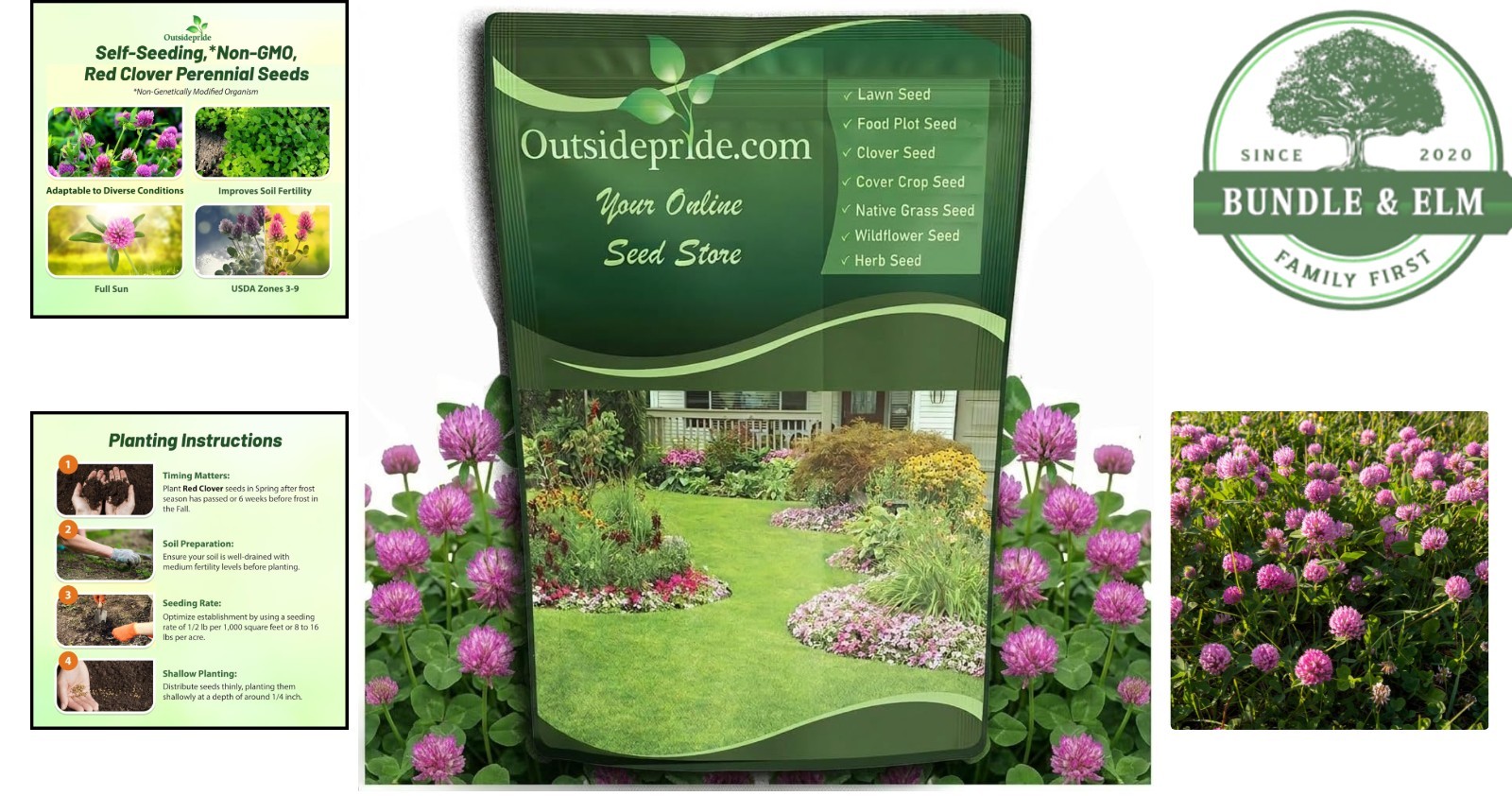 Self-Seeding Clover Seeds for Outdoor Use, Drought Tolerant & Nitrogen Fixation