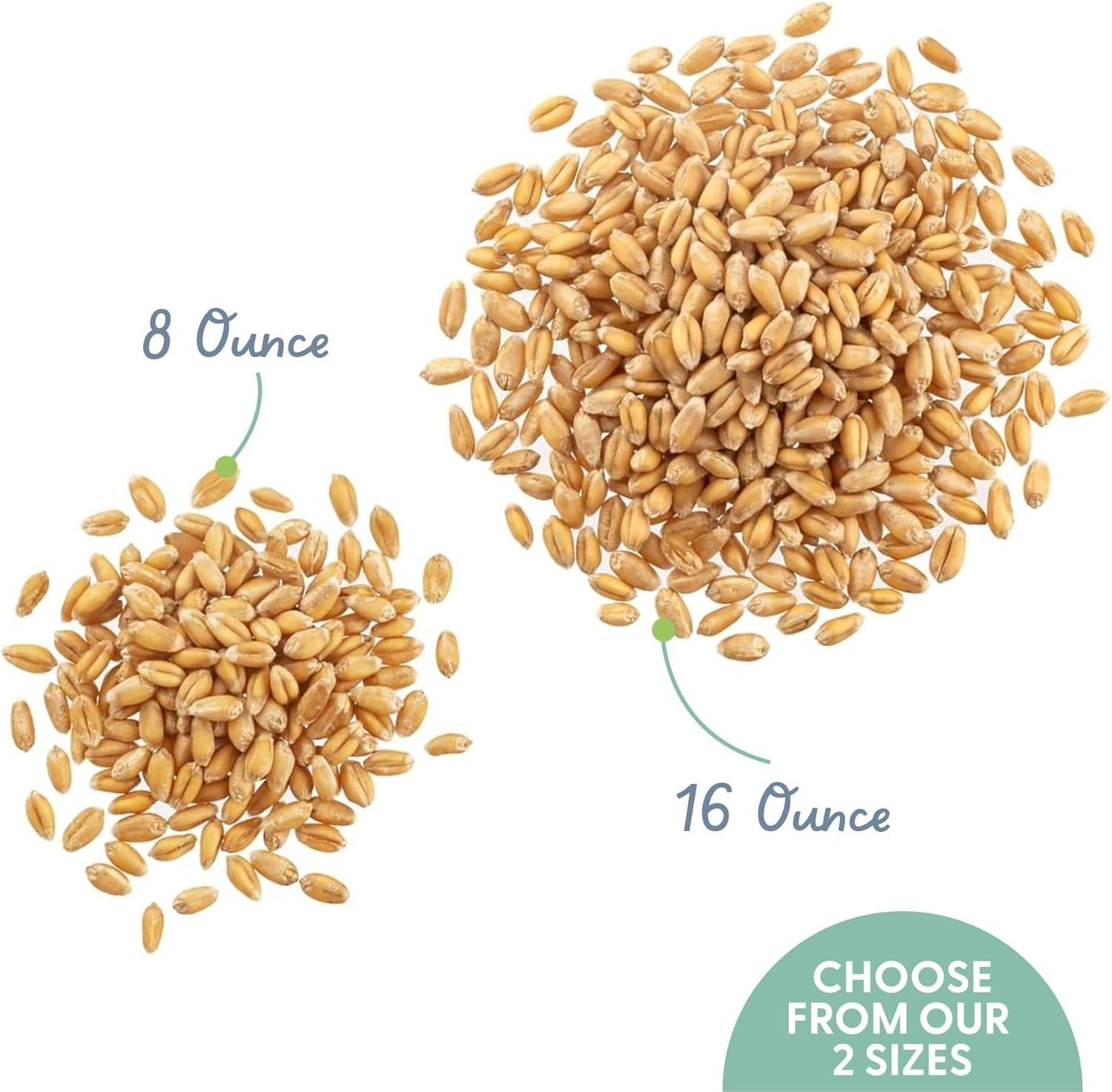 Organic Cat Grass Seed – Non-GMO, Pet-Friendly, Fast-Growing 8oz