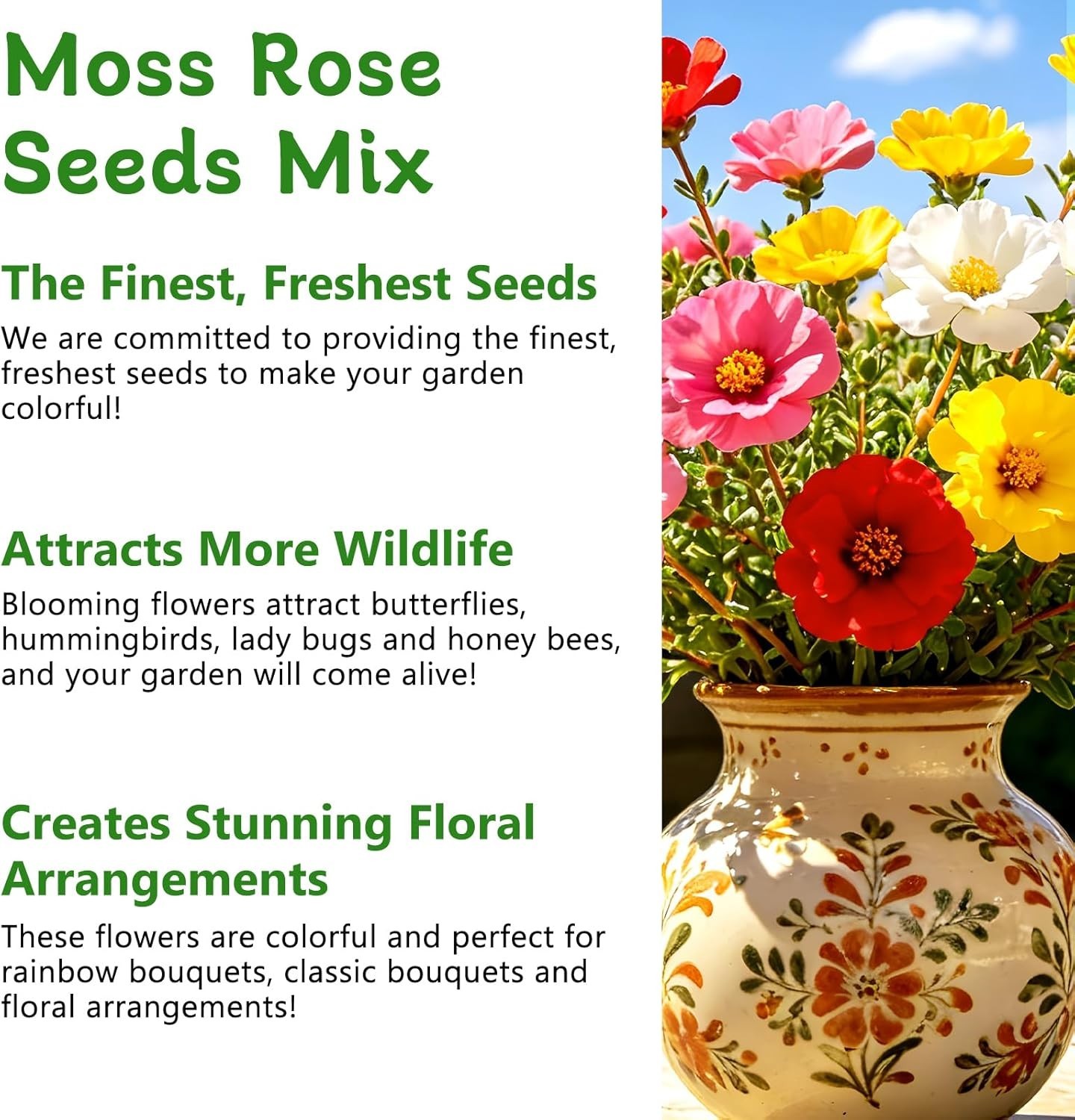 Colorful Moss Rose Flower Seeds – Attracts Pollinators