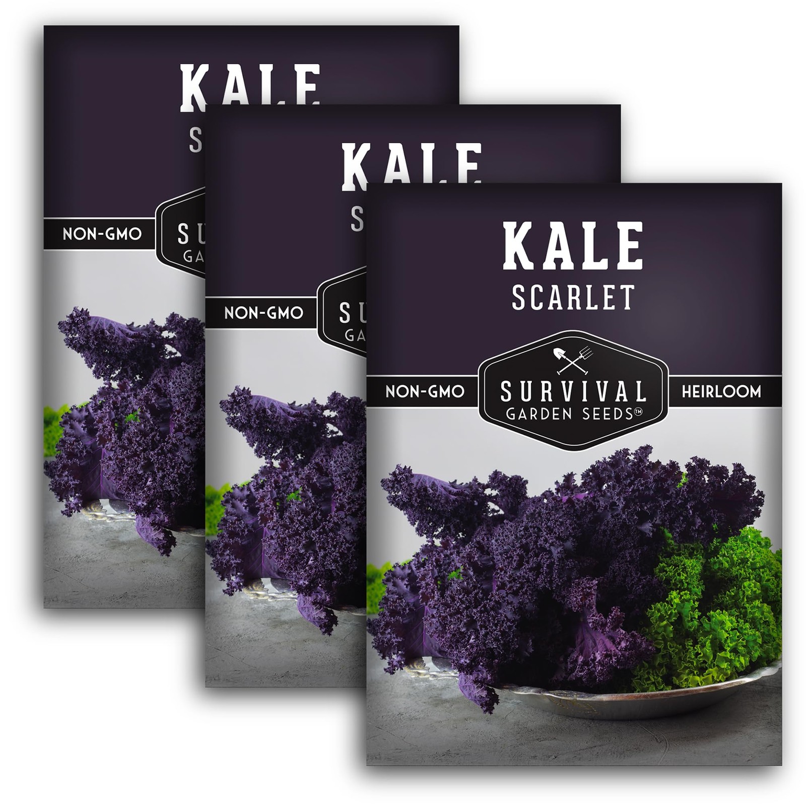 Heirloom Kale Seeds – Cold Hardy Purple Curly Greens for Spring & Fall Gardens