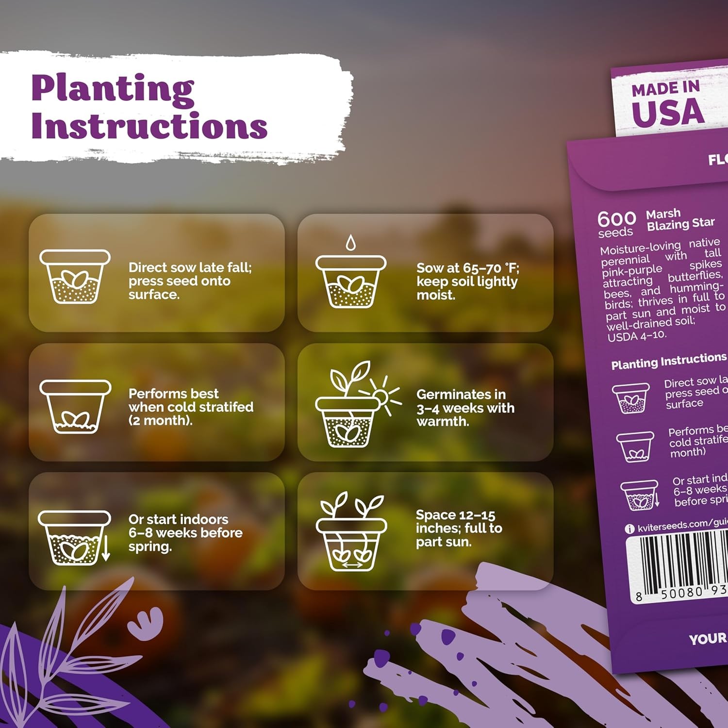 600 Marsh Blazing Star Seeds for Planting (Liatris Spicata) – Gayfeather Dense M