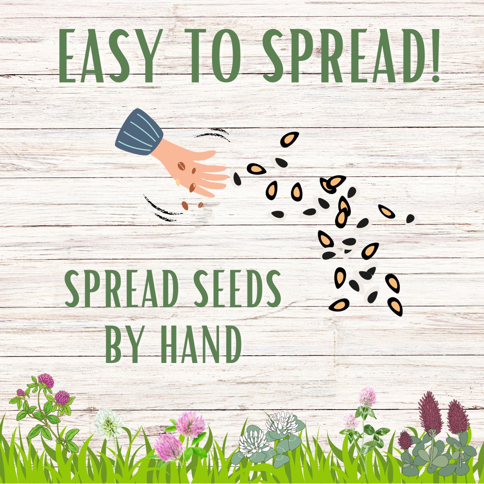 Flawn Seed Kits Tri-Color Clover Seed, Equal Mix 3 Clovers, Flowering Lawn