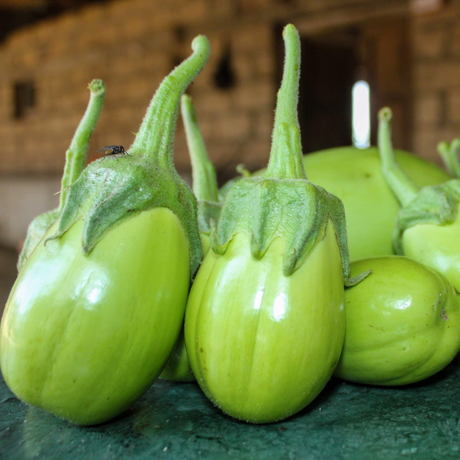 25 APPLEGREEN EGGPLANT Green Fruit / Vegetable Solanum Melongena Seeds *Comb S/H