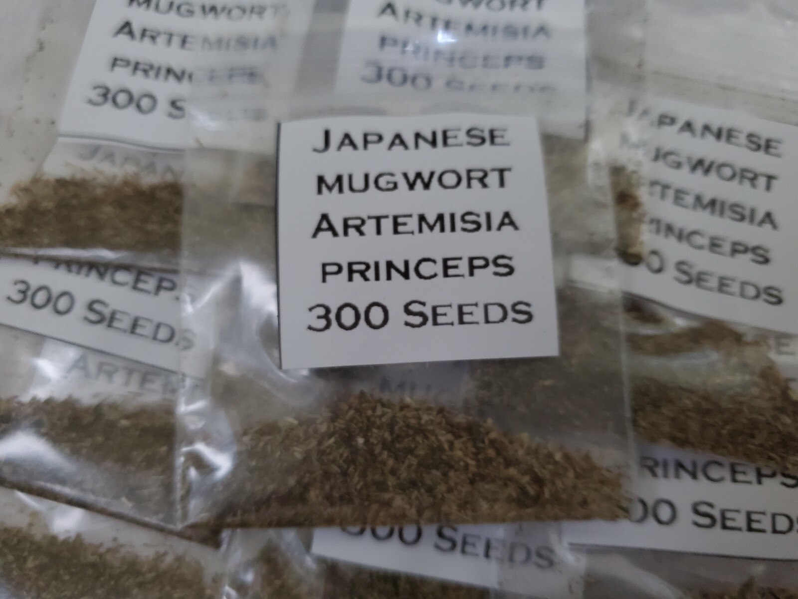 Japanese Mugwort Seeds (Artemisia princeps)