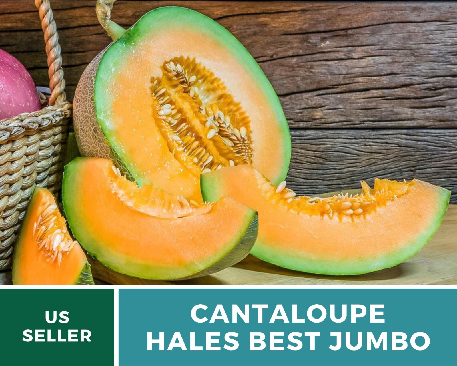25+ Hales Best Jumbo Cantaloupe Seeds —– LARGE – Heirloom – Organic – NON GMO