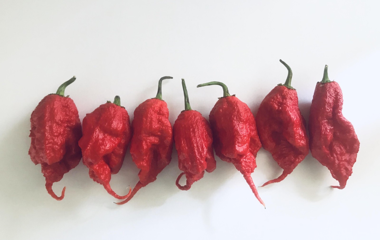Red Hot Summer Deluxe – 48 Superhot Seeds -Reaper, Primo, Ghost & Death Spiral