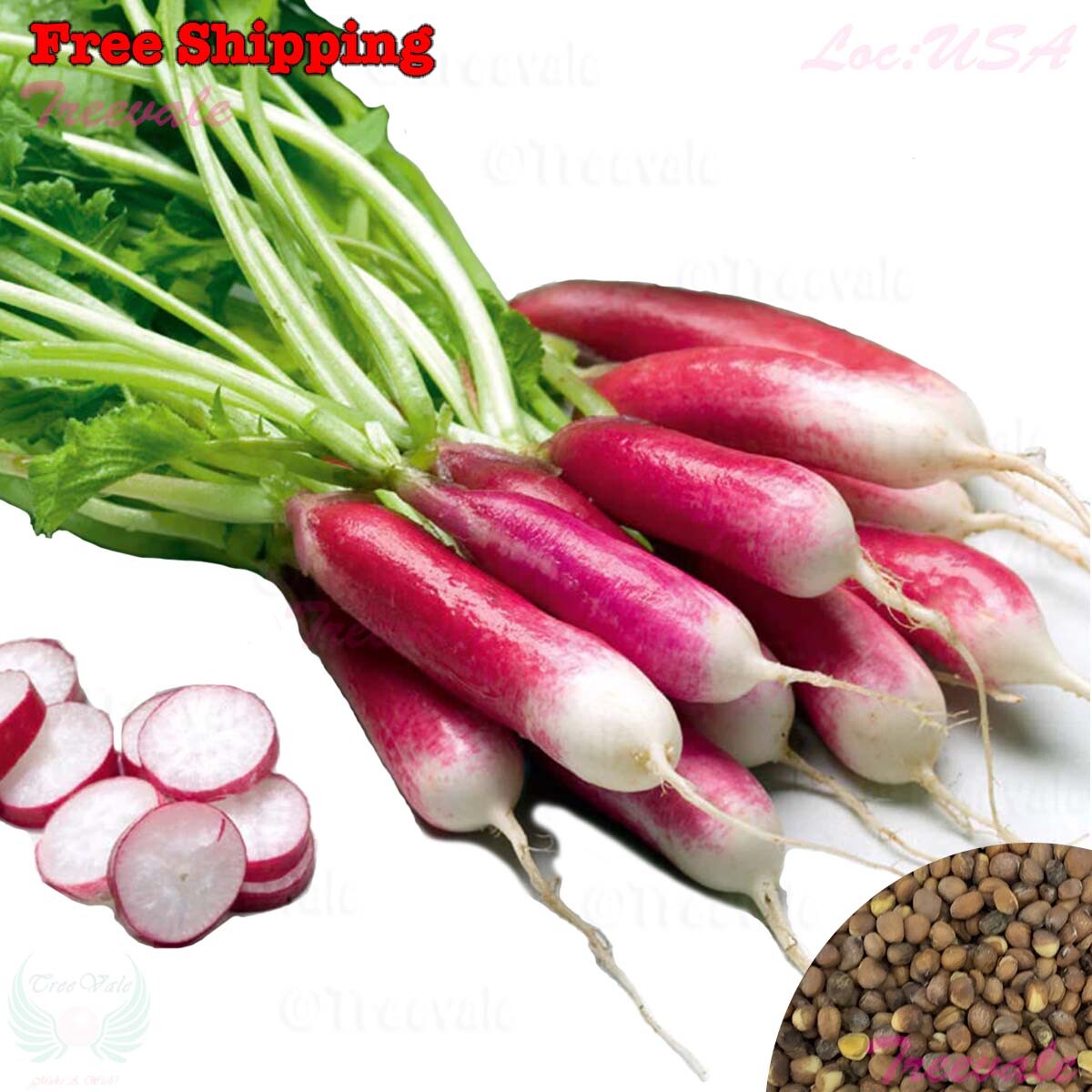 French Breakfast Radish, Red Radish, Radish SEEDS | Vegetable Seeds