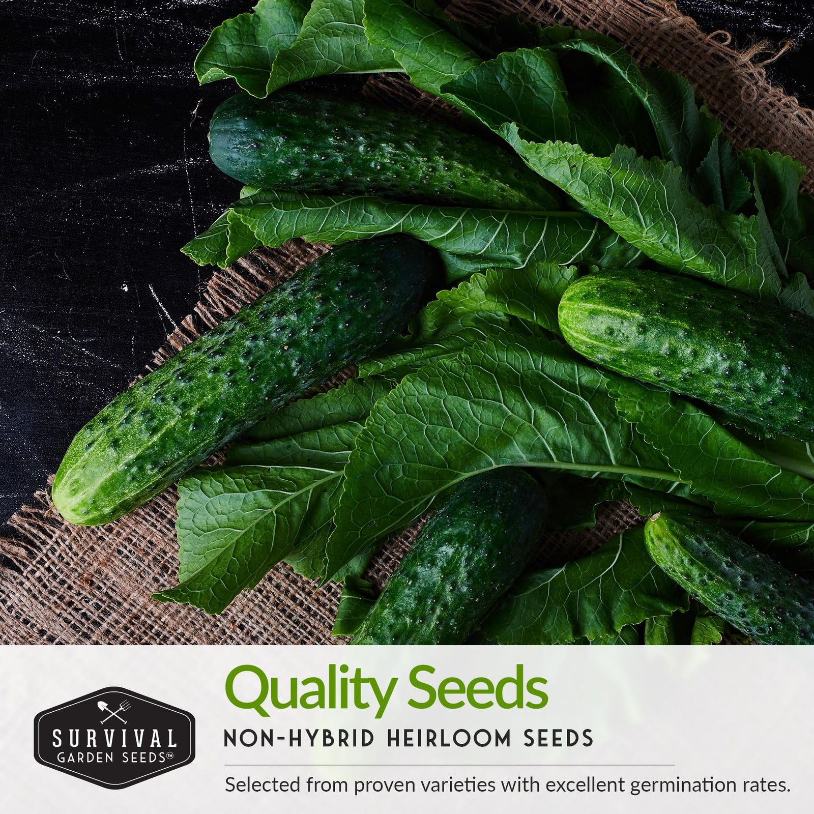 Vegetable Seed Vault Set 15 Varieties Variety Pack for Planting New