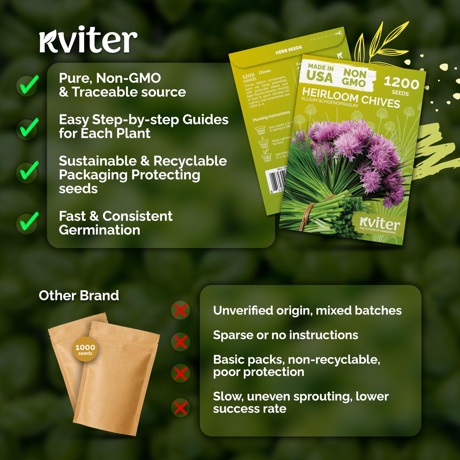 KVITER 1200 Chive Seeds (Allium schoenoprasum)