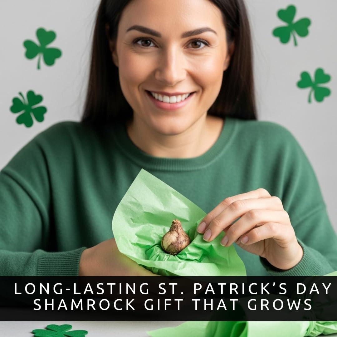 Iron Cross Shamrock Bulbs – 10 Bulbs to Plant – St. Patrick’S Gift – Iron Cross