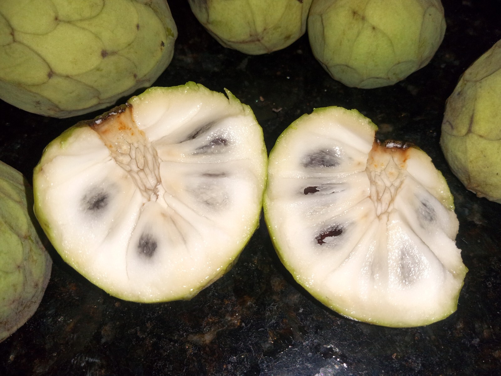 10 Organic Cherimoya/Custard Sugar Apple Tropical Fruit Seeds.US grown seeds.