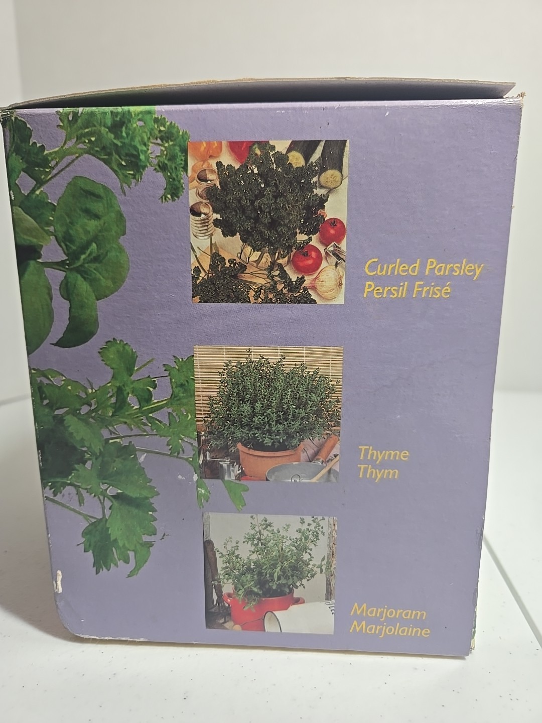 Kitchen Herbs Grow Kit