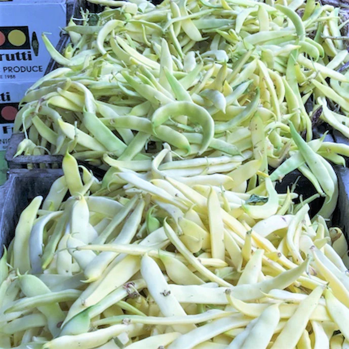 Bai Bu Lao Romano Bean Seeds | Pole Beans White Light Green Flat Roma Seed 2024