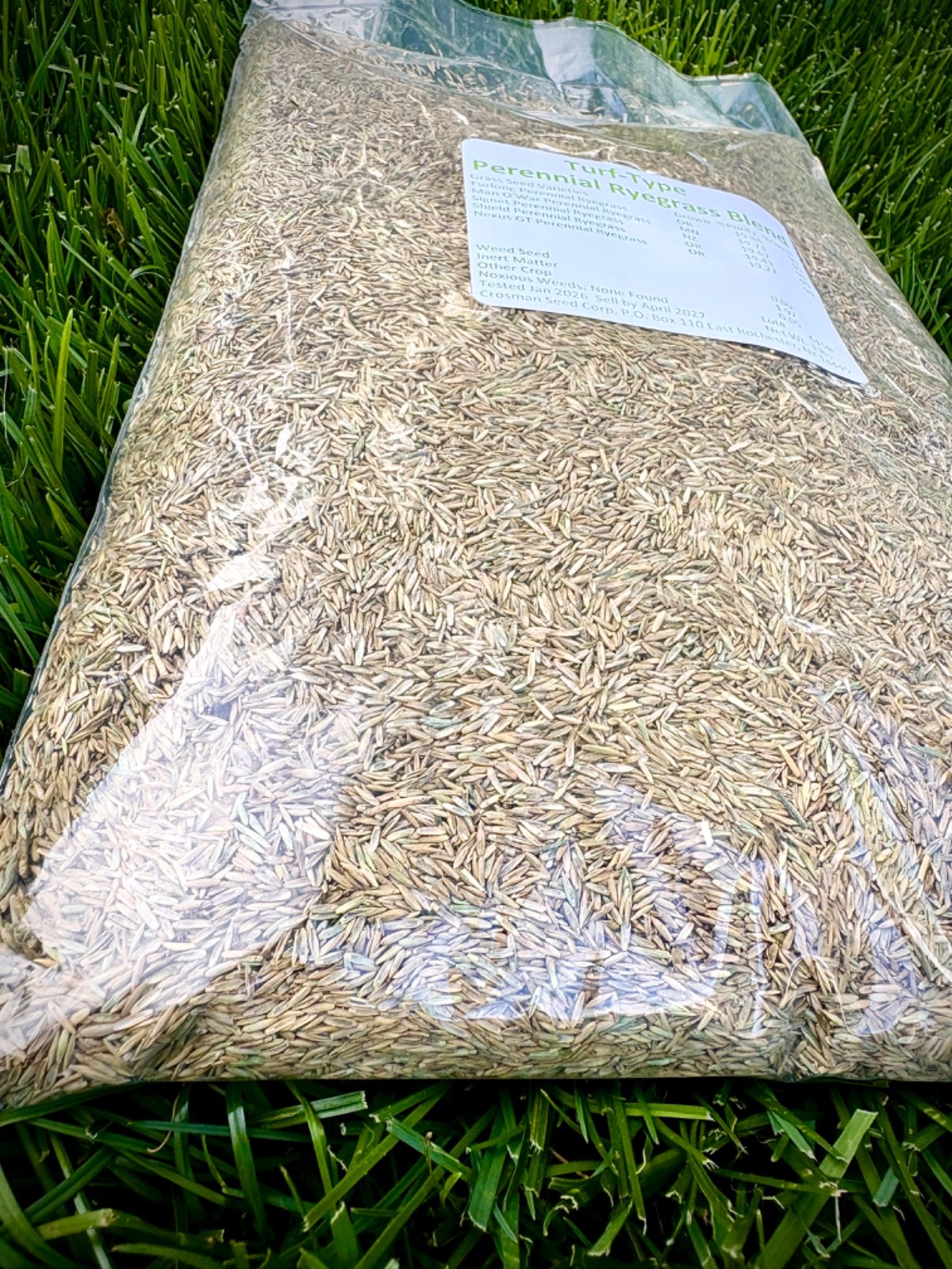 Perennial Ryegrass Turf Type Grass Seed Blend 3 lb Overseed Sports Field Lawn