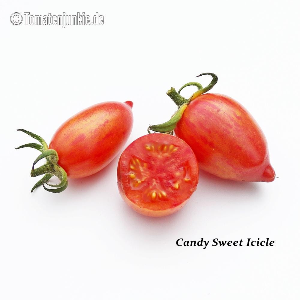 10 seeds Candy Sweet Icicle Tomato Large Cherry Rare Variety Indeterminate