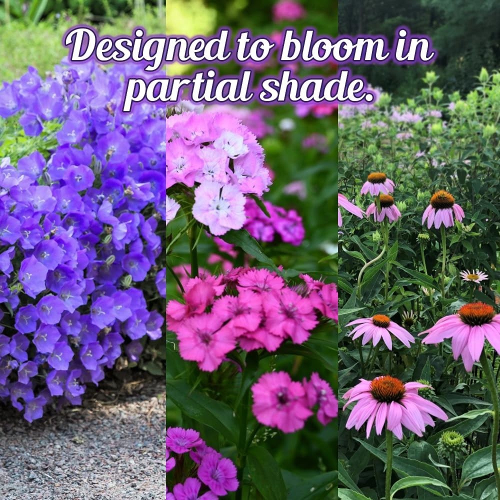 Wildflower Seed Mix 4oz – Open-Pollinated, No Fillers, Annual & Perennial Seeds