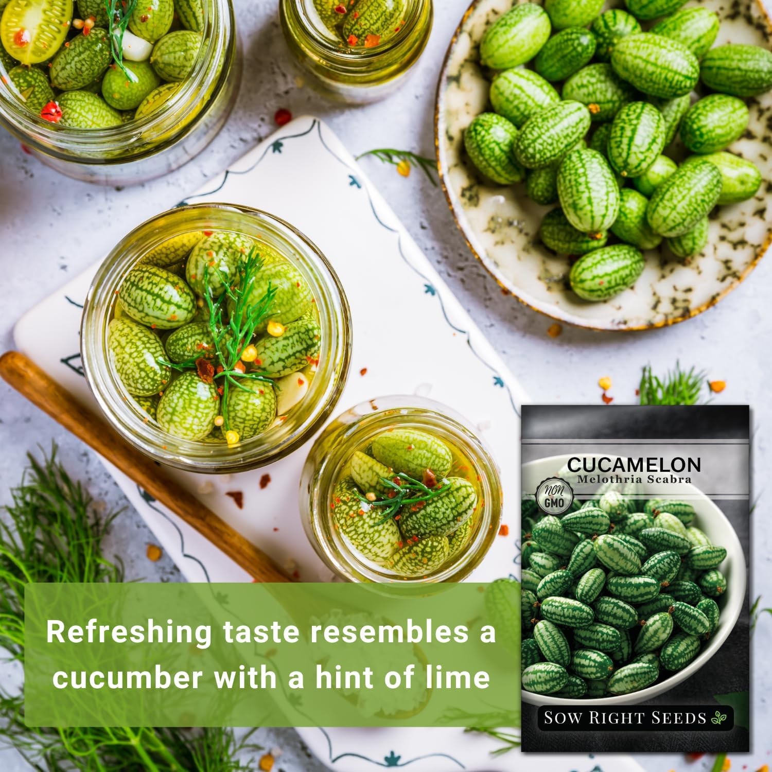 Sow Right Seeds – Cucamelon for Planting – Non-GMO Heirloom Green