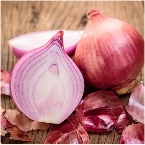 Ruby Red Onion Seeds | 100 Seeds | Non-GMO | Free Shipping | Seed Store | 1072