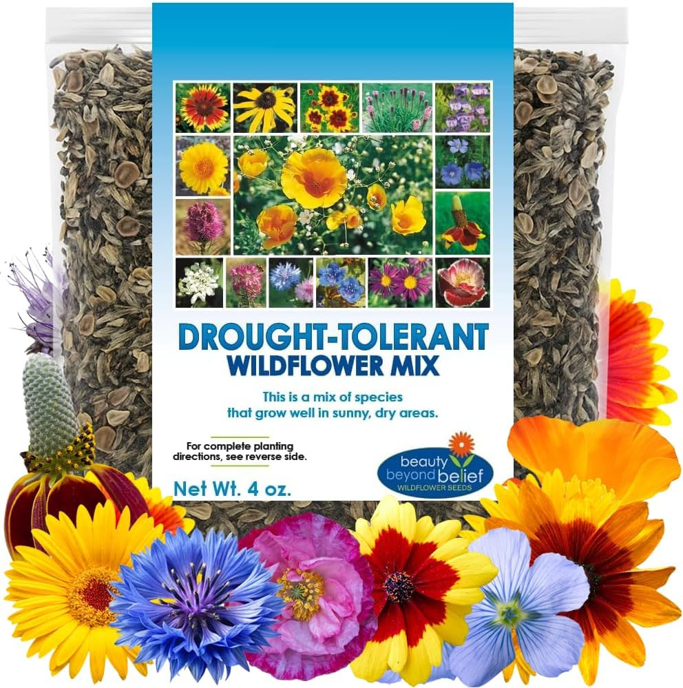 Drought Tolerant Wildflower Seeds – 4Oz, Open-Pollinated Bulk Flower Seed Mix fo