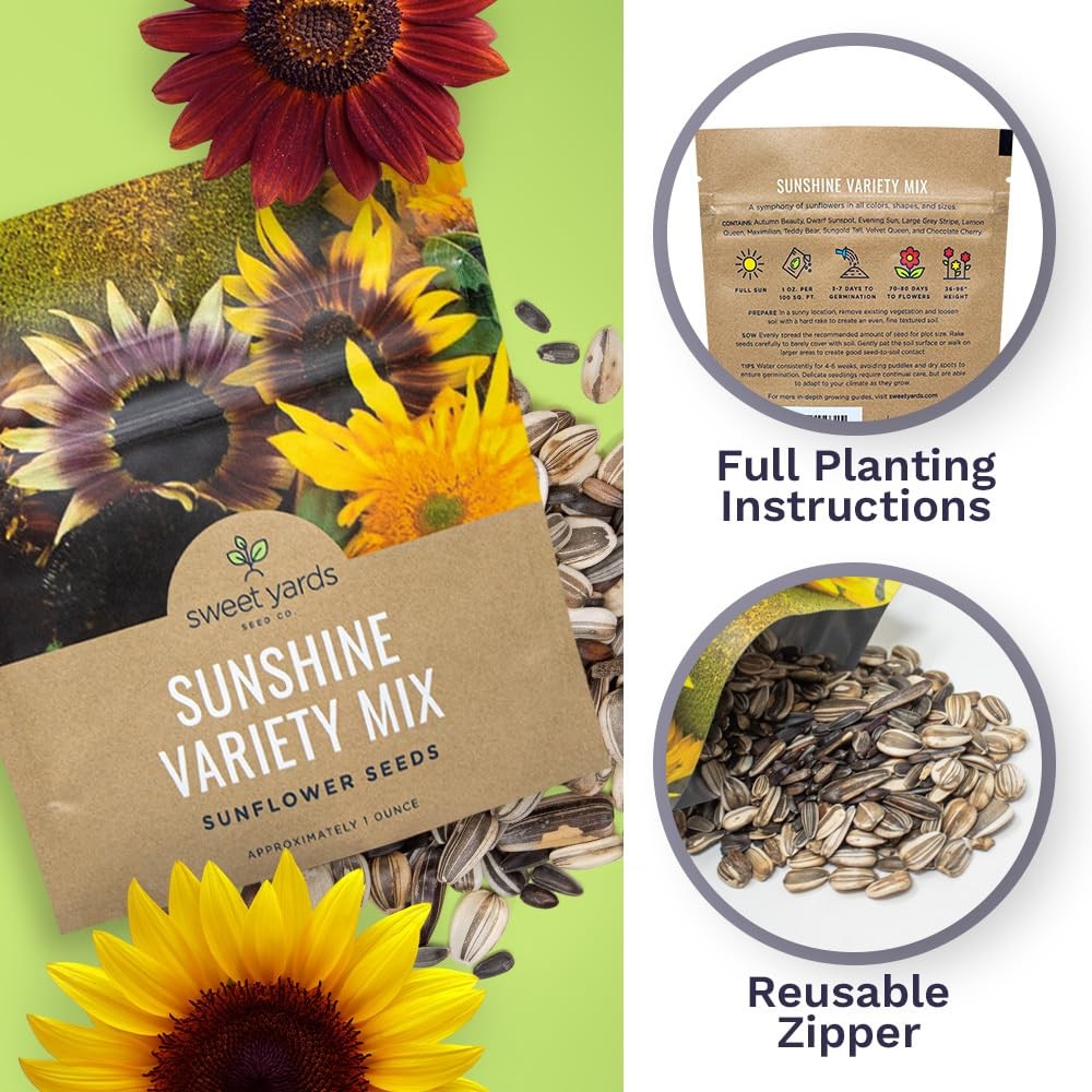 1 Ounce Sunflower Variety Mix 10 Types Bulk Open Pollinated Flower Seeds