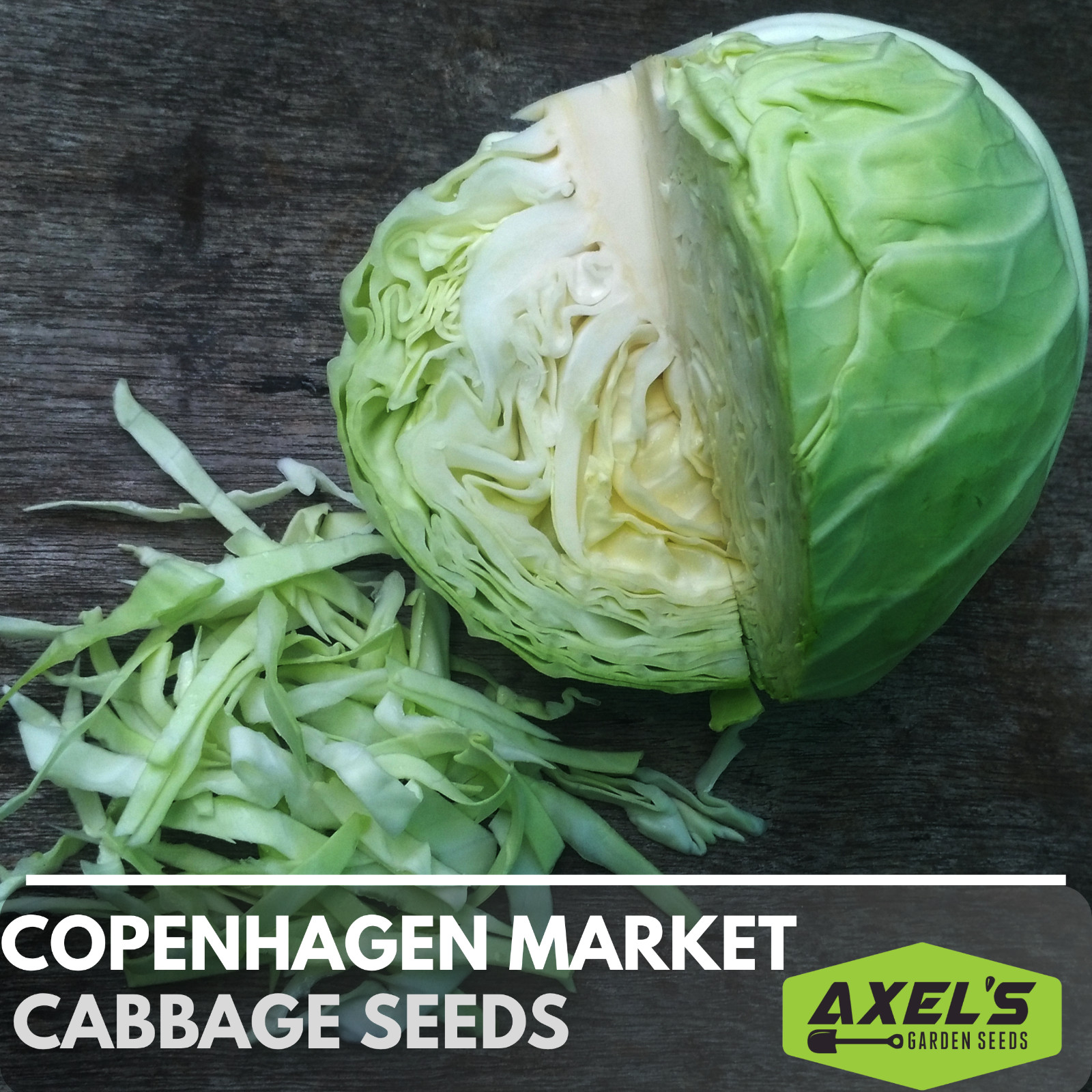 Copenhagen Cabbage Seeds | NON-GMO | Heirloom | Fresh Vegetable Seeds