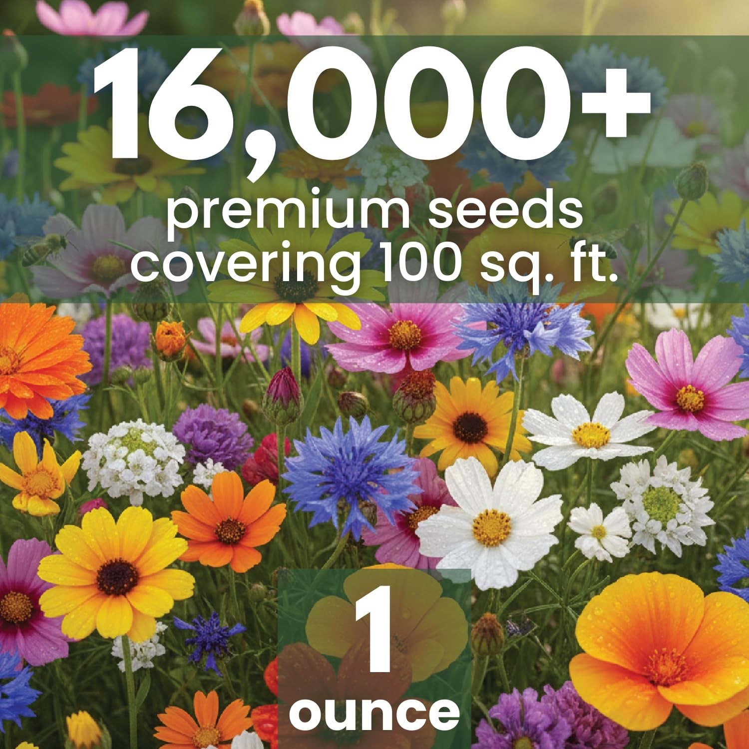 Bulk Wildflower Seeds Annual Quick Blooming 1/4 Pound Bag, Multiple Colors