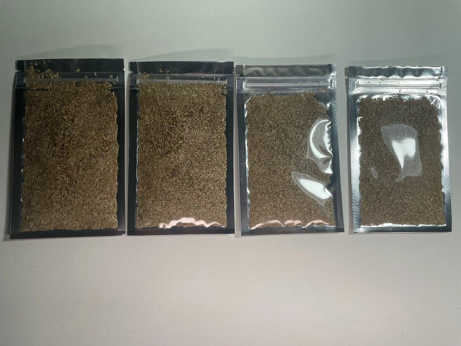 Zenith Zoysia Grass Seed (4-Pack) – Over 20,000 Seeds for a Lush, Healthy Lawn!