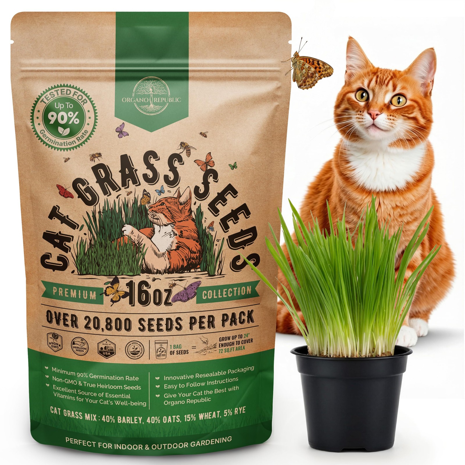 Cat Grass Seeds Mix – 20,800 Non-GMO Heirloom Seeds for Cats & Pets, 16 oz Pa…