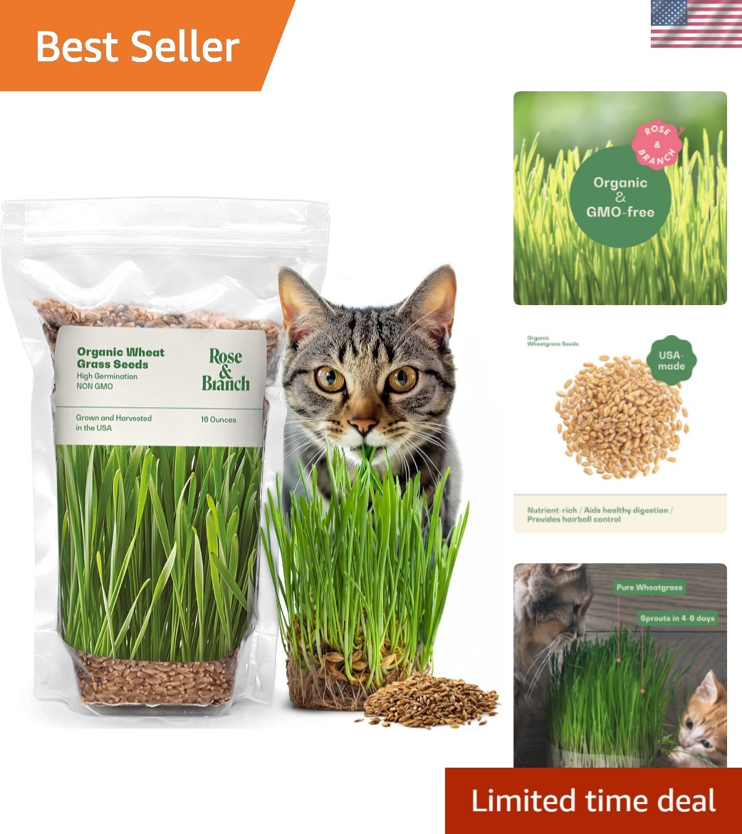 Rose & Branch Organic Wheat Grass Seeds for Indoor Cats – Cat Grass Seeds – 1…
