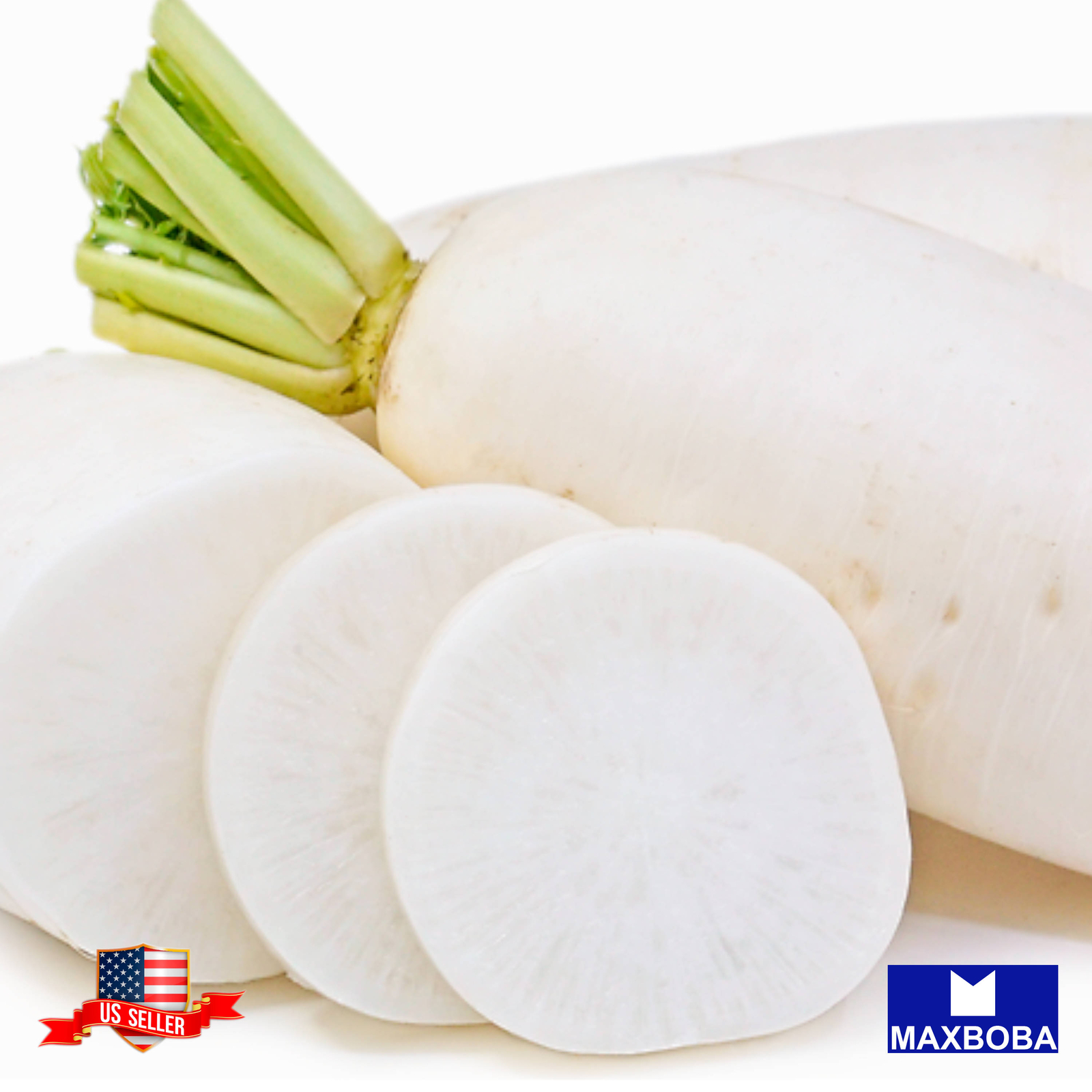 Radish Fresh Seeds Daikon Organic Cover Crop Non-GMO Garden