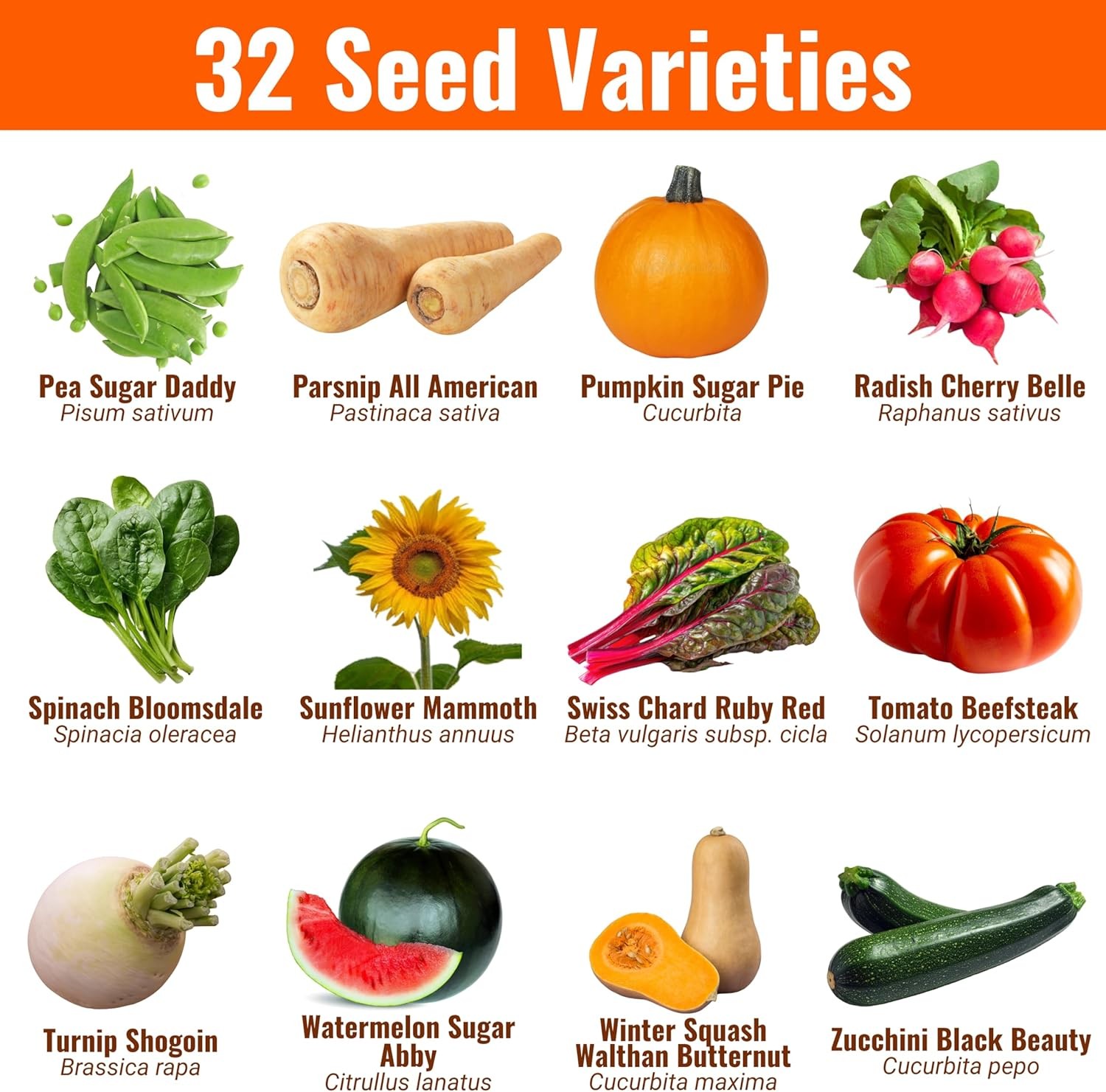 Heirloom Seeds Vault 32 Variety Non GMO Vegetable and Fruit Seeds for Planting