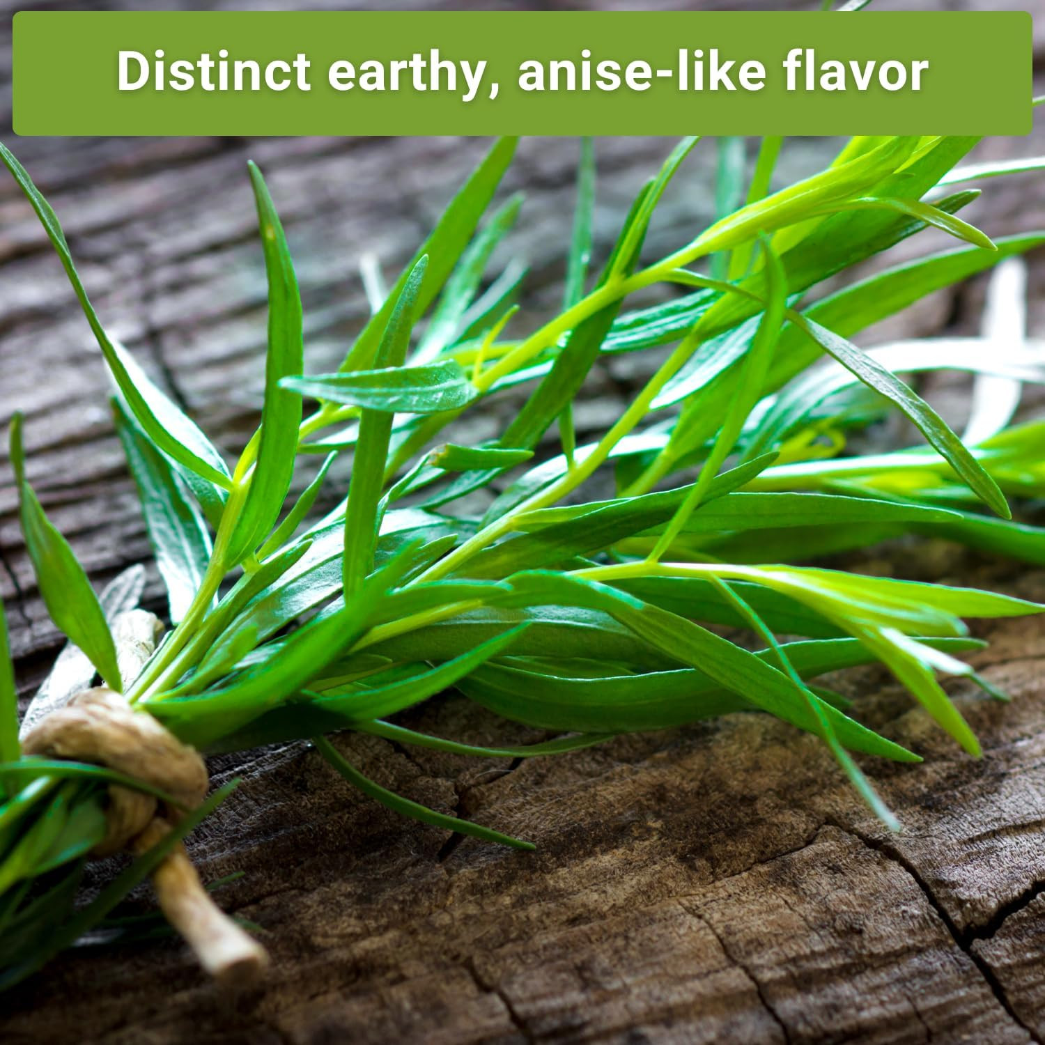 – Tarragon Seed Collection for Planting – French and Russian Varieties – Non-Gmo