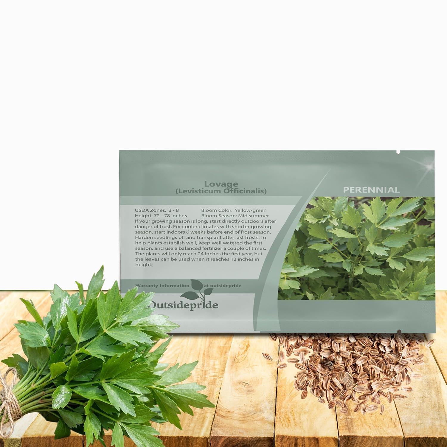 Drought-Tolerant Lovage Seeds – 1000 Pcs for Edible Gardens & Xeriscaping
