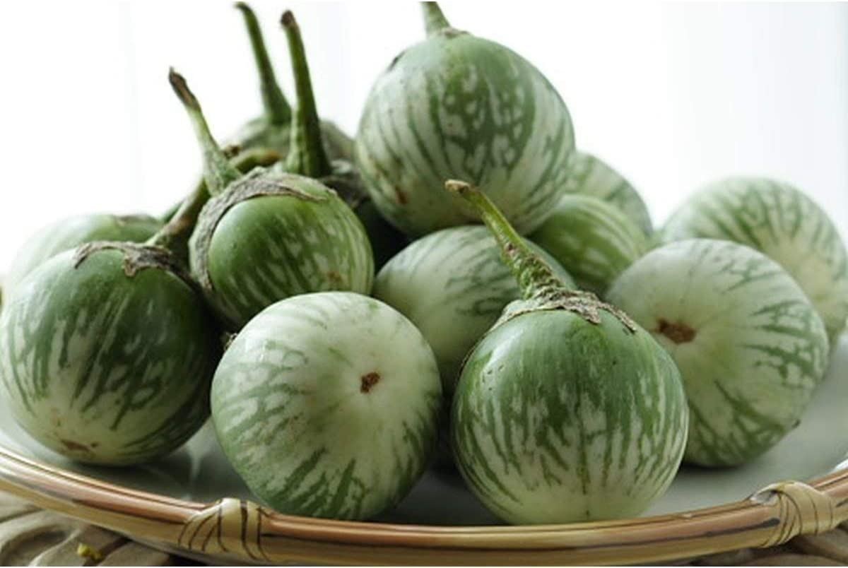 Thai Round Green Eggplant Seeds (25 Seed Pack)
