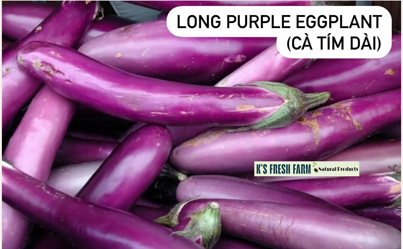 Eggplant Seeds(White+Purple Round/Long Purple/Green Thai) Cà Pháo/ Cà tím/Cà dĩa