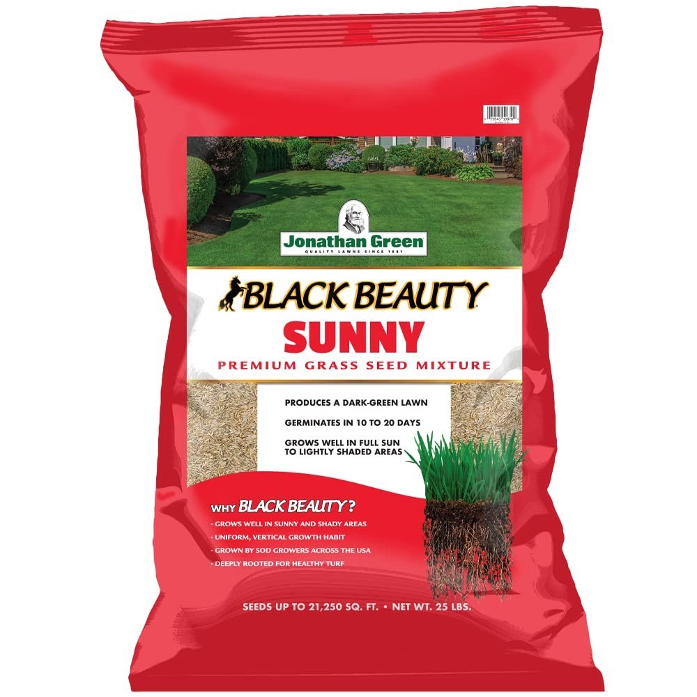 Premium Black Beauty Grass Seed – Cool Season Lawn Seed for Lush Green Lawns (25