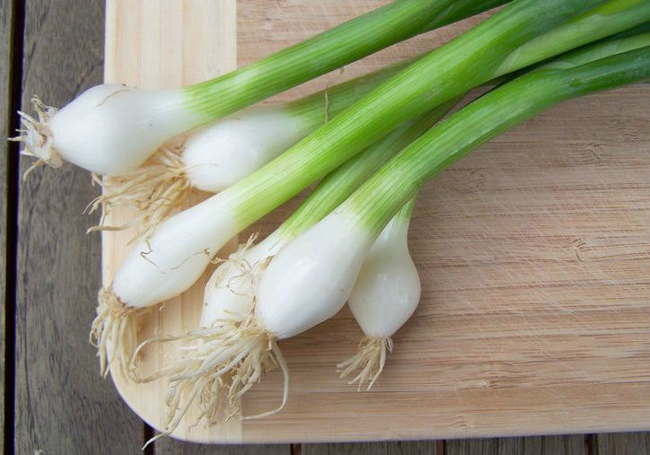 Bunching Onion Seeds Tokyo Long White Onion 500 Seeds