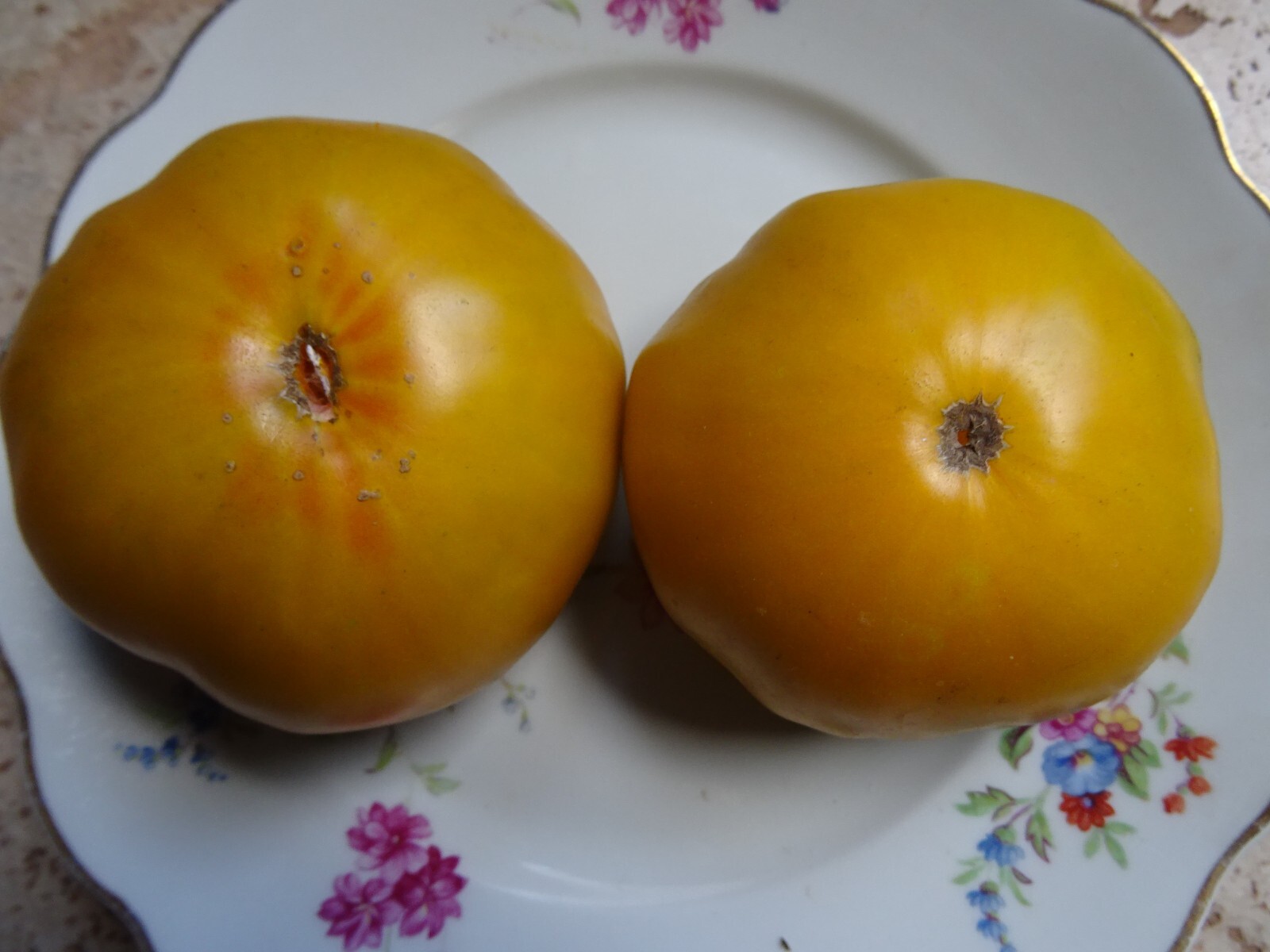 Green/Yellow Tomato Malachite Box Heirloom 20 seeds Organic NON-GMO