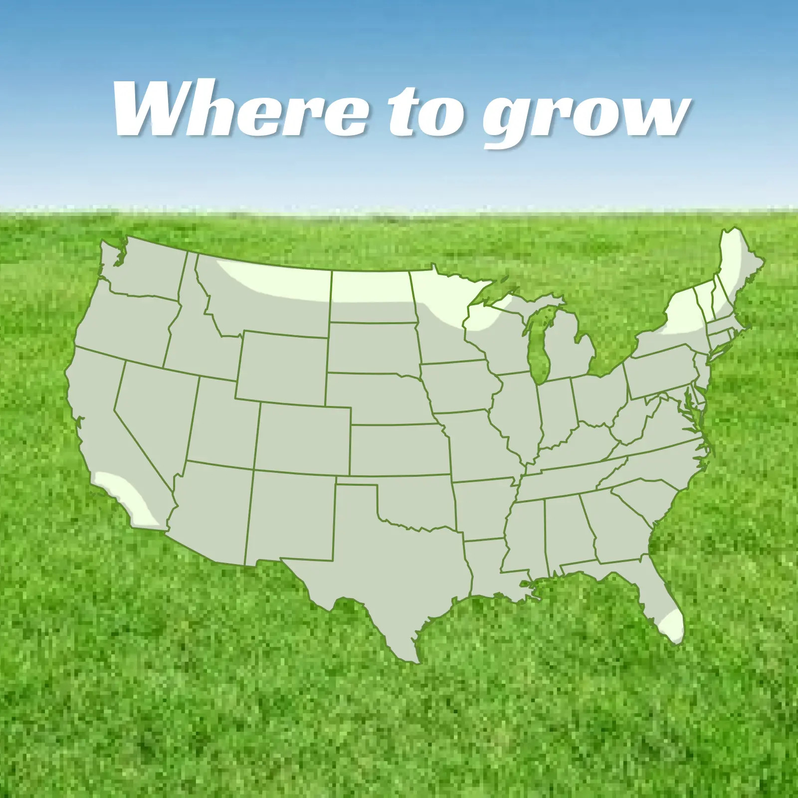Grass Seed and Shade Grass, Grows Quickly and Withstands All Seasons, Perfect fo