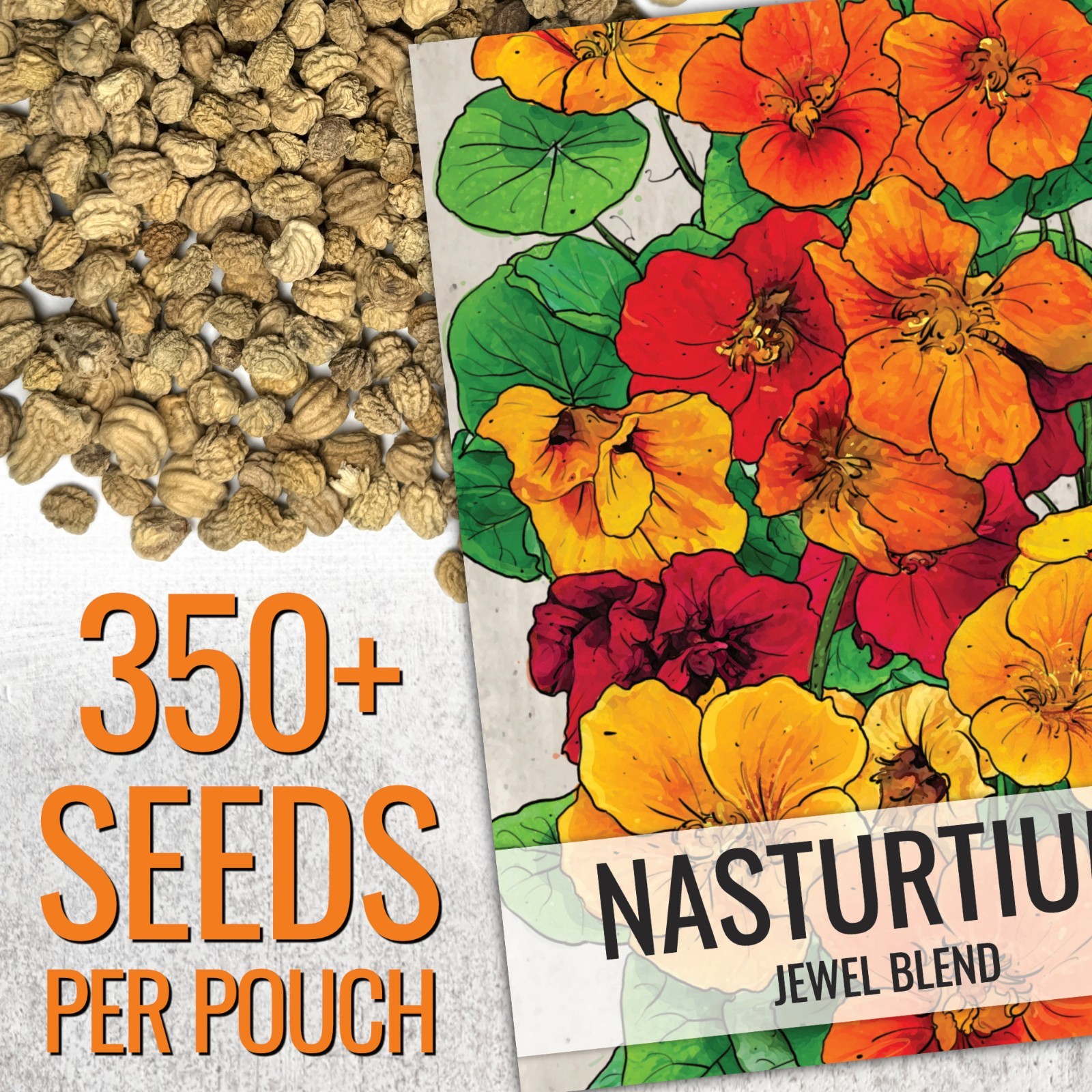 Nasturtium Seeds Jewel Mix Multicolored Edible Flowers 1.5 Ounce 350+ Seeds