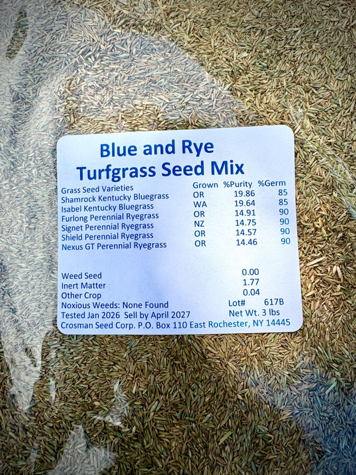 Grass Seed High Traffic Kentucky Bluegrass Perennial Ryegrass Mix 3 lb Kids Pets