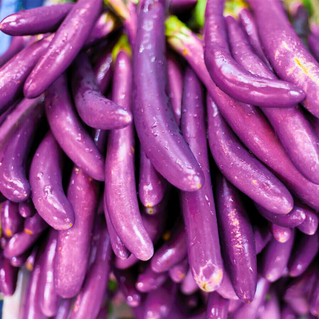 Fresh Chinese Eggplant Seeds | Ping Tung | Heirloom Non-GMO | Asian Vegetable