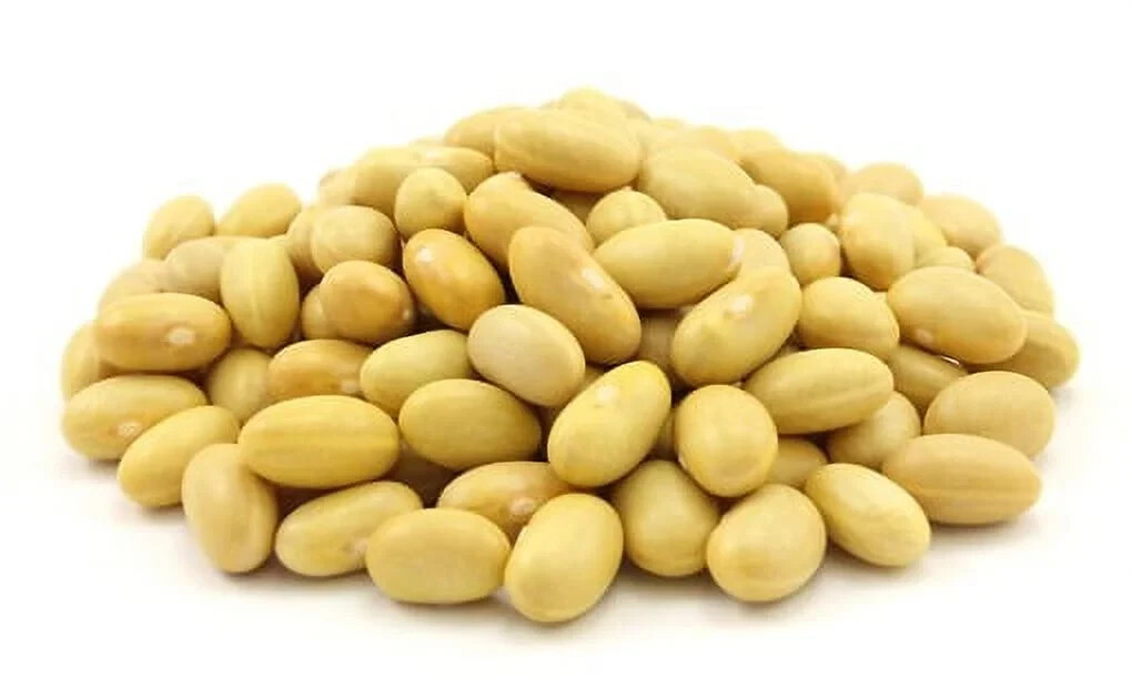 Peruvian Bean Seeds (25) / Peruano / Mayocoba Canary Bean / ORGANIC / BUSH BEAN