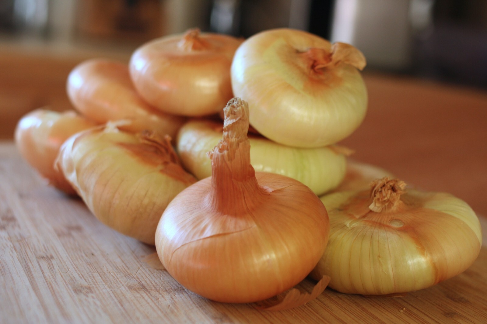 Yellow Cipollini Onion, NON-GMO, Cipollini Giallo, Italian Onion, FREE SHIP