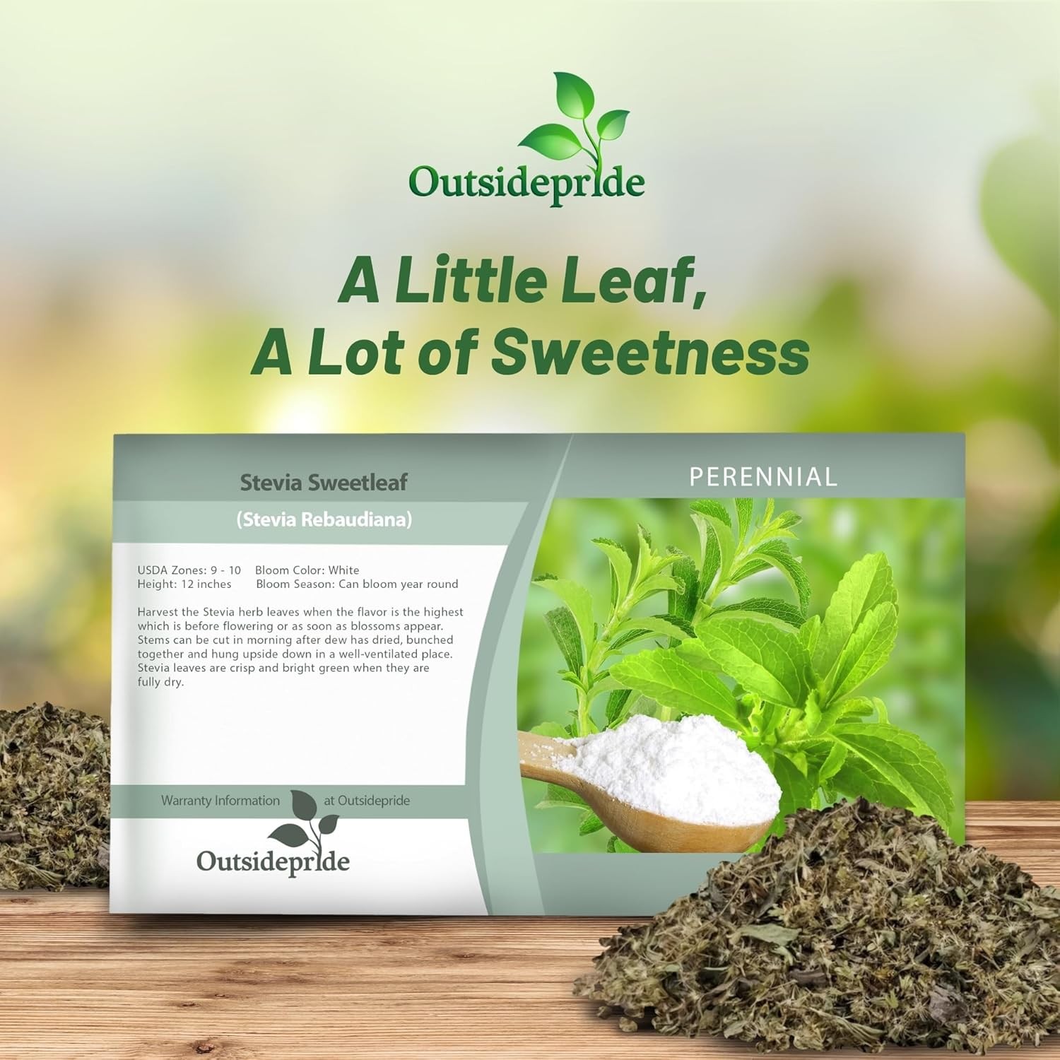 100 Seeds Stevia Seed – Sweet Leaf Herb Seeds