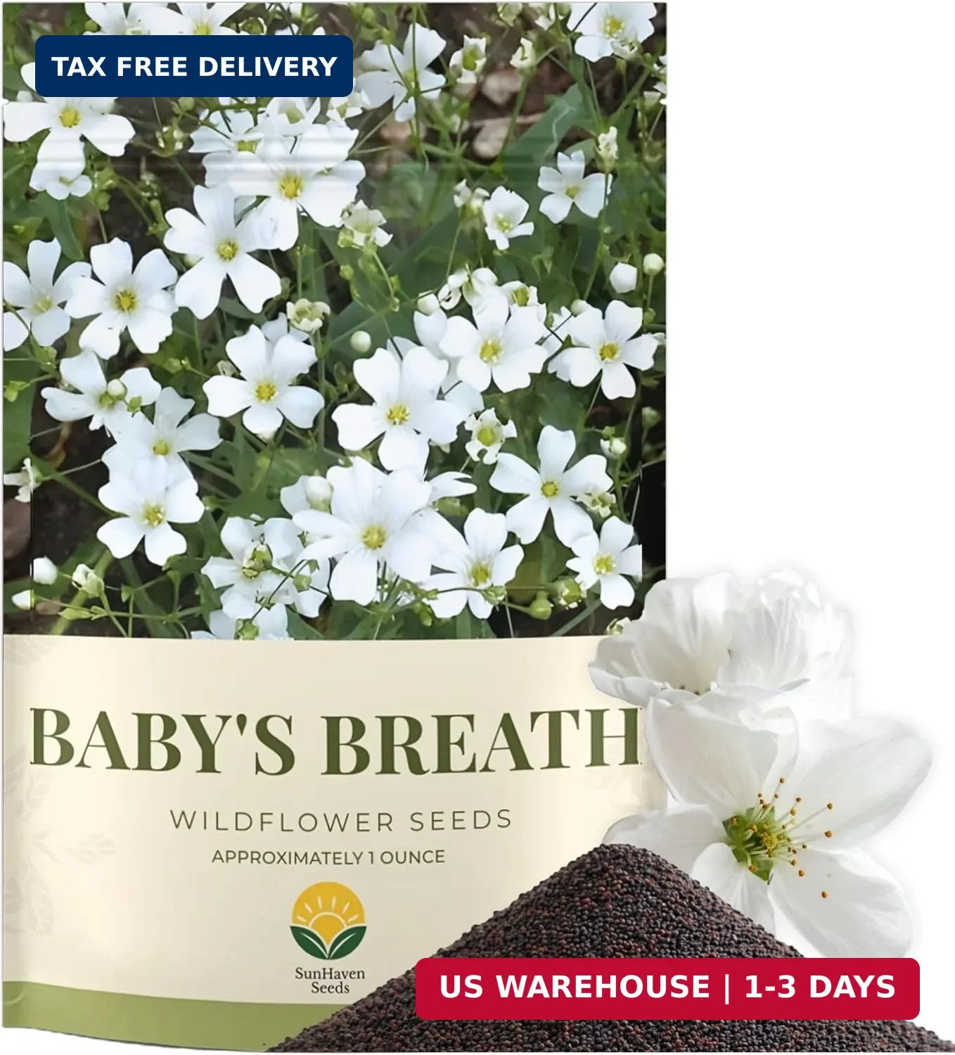 Baby’s Breath Seeds – 20,000+ Seeds – 1 oz Bulk Resealable Packet – Quick Bloomi