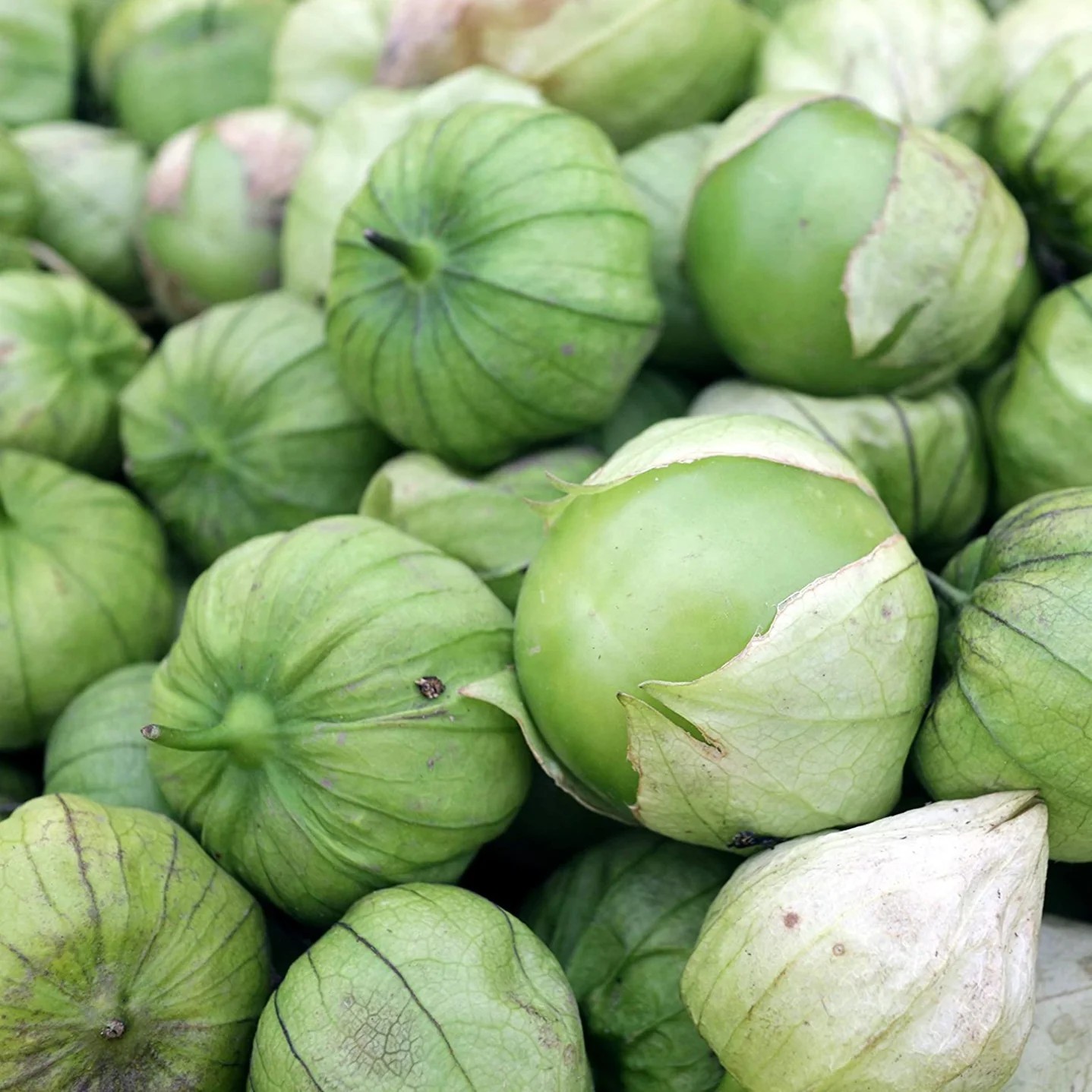 125+ Heirloom Toma Verde Tomatillo Seeds – Super Fast Growing – Early Harvest