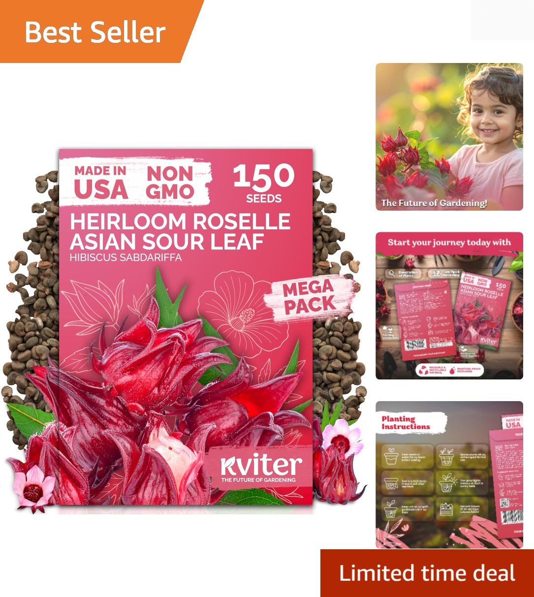 Vibrant Red Hibiscus Seeds – 150 Count for Garden & Delicious Hibiscus Tea